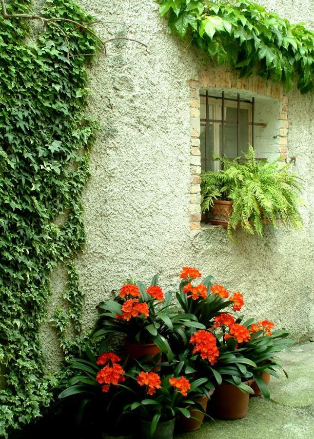 B&B Gil D'O Bertiolo Екстериор снимка